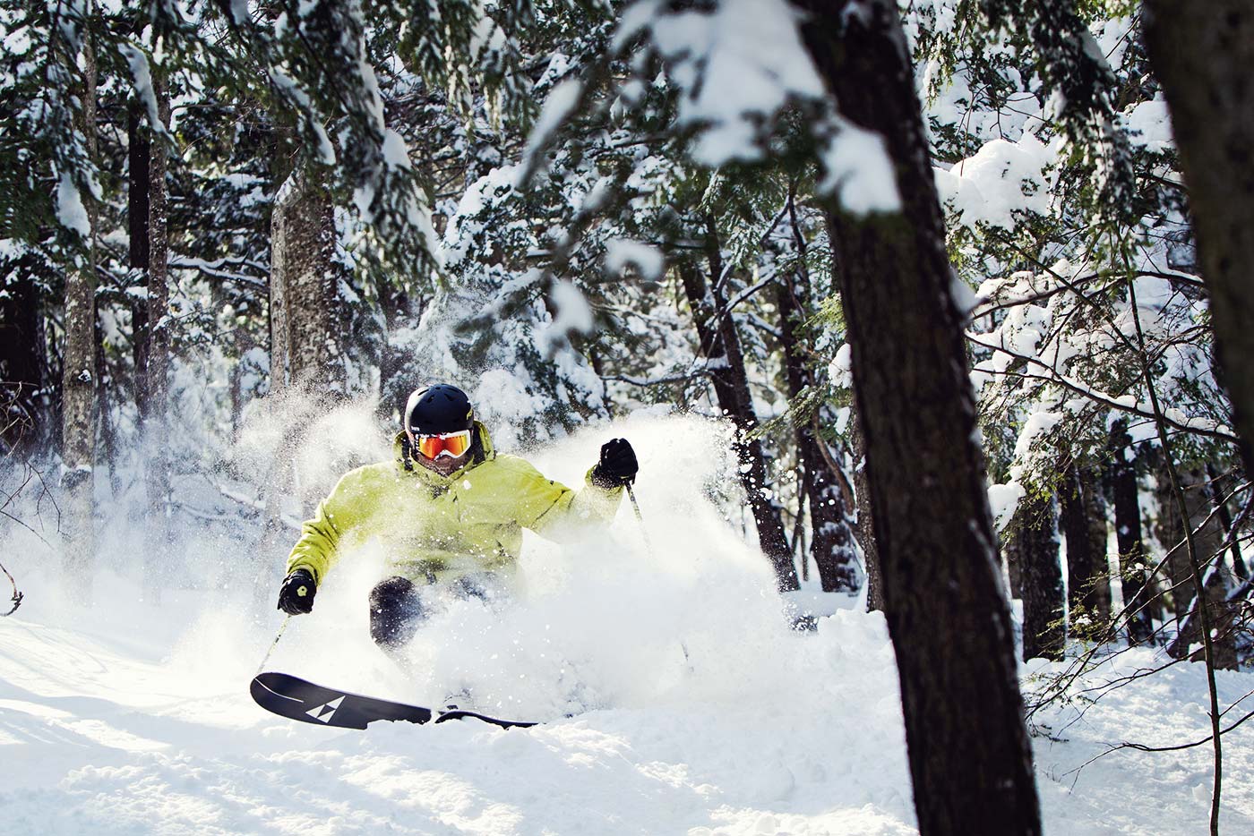 Aggressive Skier in the Woods